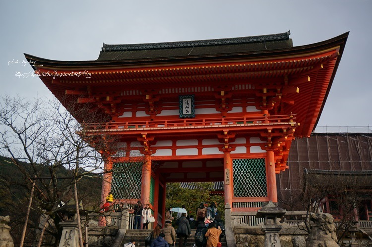 【2014大阪過聖誕】冬天的哲學之道+清水寺的冷颼颼風景 @凱的日本食尚日記