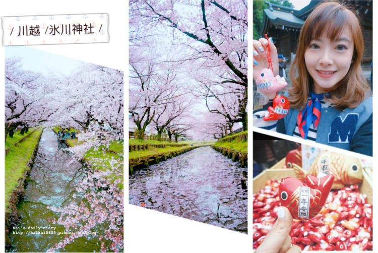 【✈2017。東京】氷川神社櫻花滿開啦～。東京小京都的老街散策 @凱的日本食尚日記