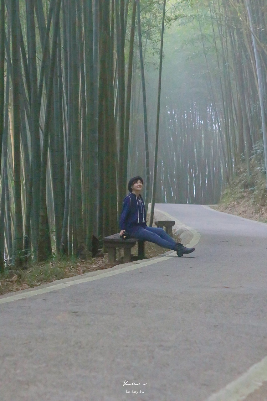 ☆【嘉義】竹林中的茶宴。綠色隧道｜瑞里茶席體驗