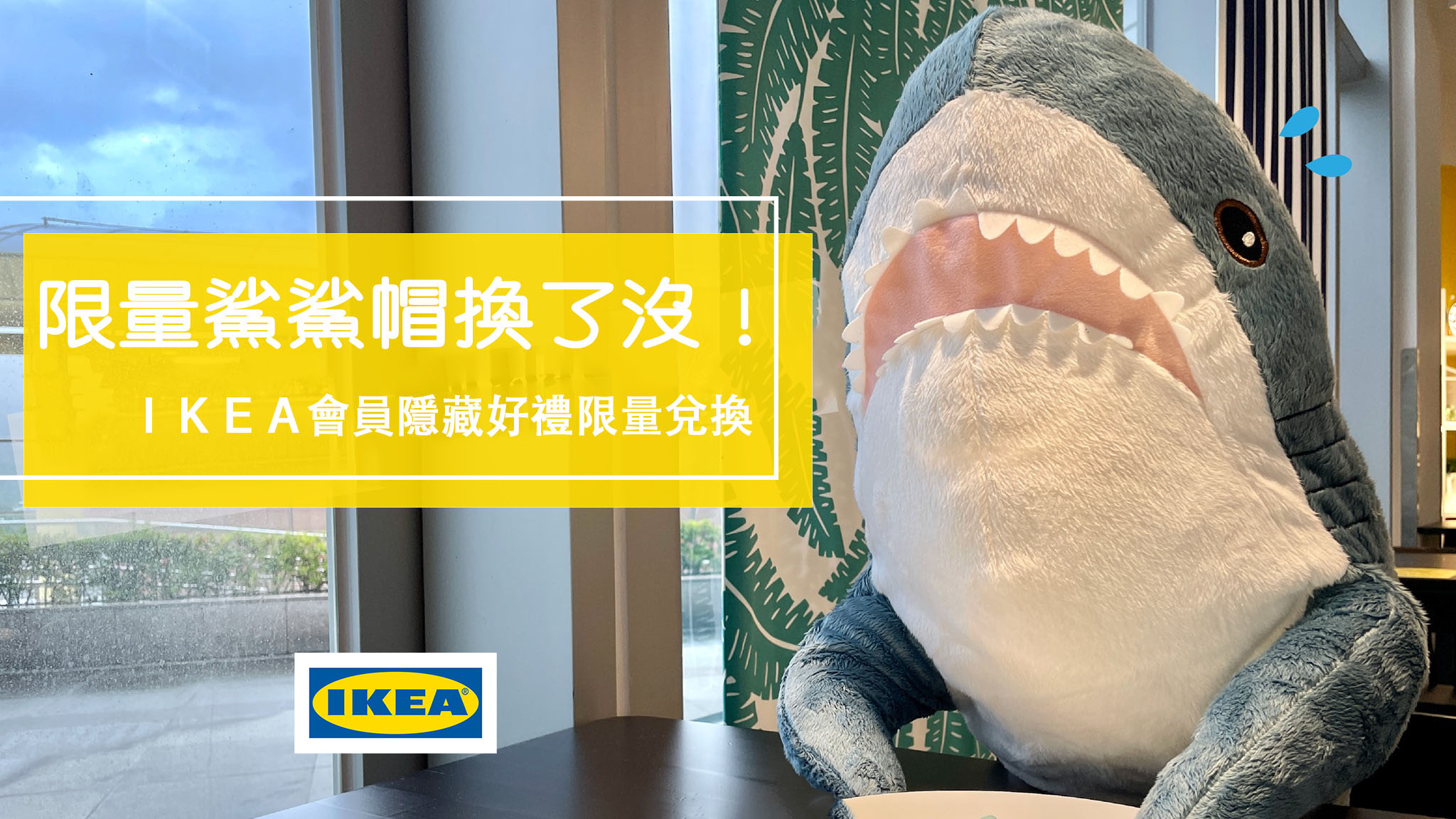 ☆【宜家】IKEA鯊鯊帽換了嗎？2021隱藏版會員禮8/19開換 @凱的日本食尚日記