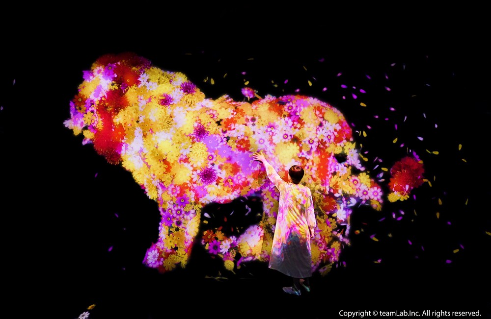 ☆【展覽】2021「 teamLab 未來遊樂園&與花共生的動物們」特展