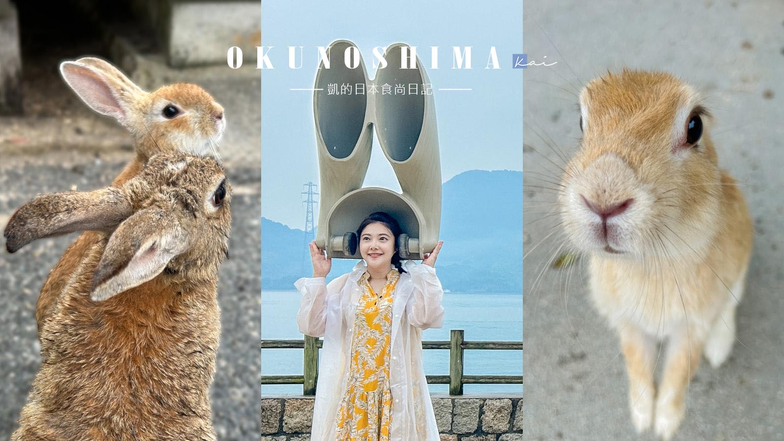 傳說中的兔子島「大久野島」就在日本廣島！被可愛小萌兔包圍太療癒 @凱的日本食尚日記