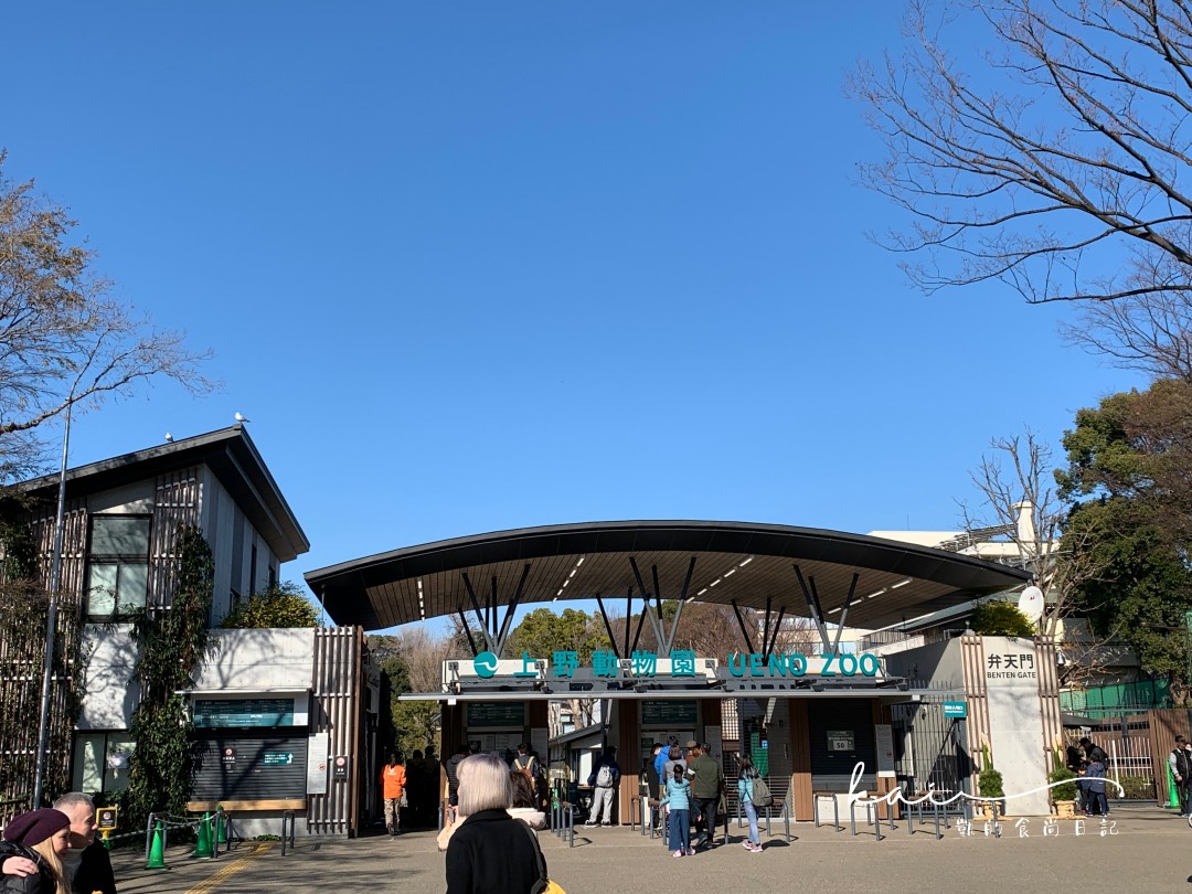 上野公園一日遊7大重點攻略。金箔東照宮、上野動物園、櫻花主題星巴克必收集