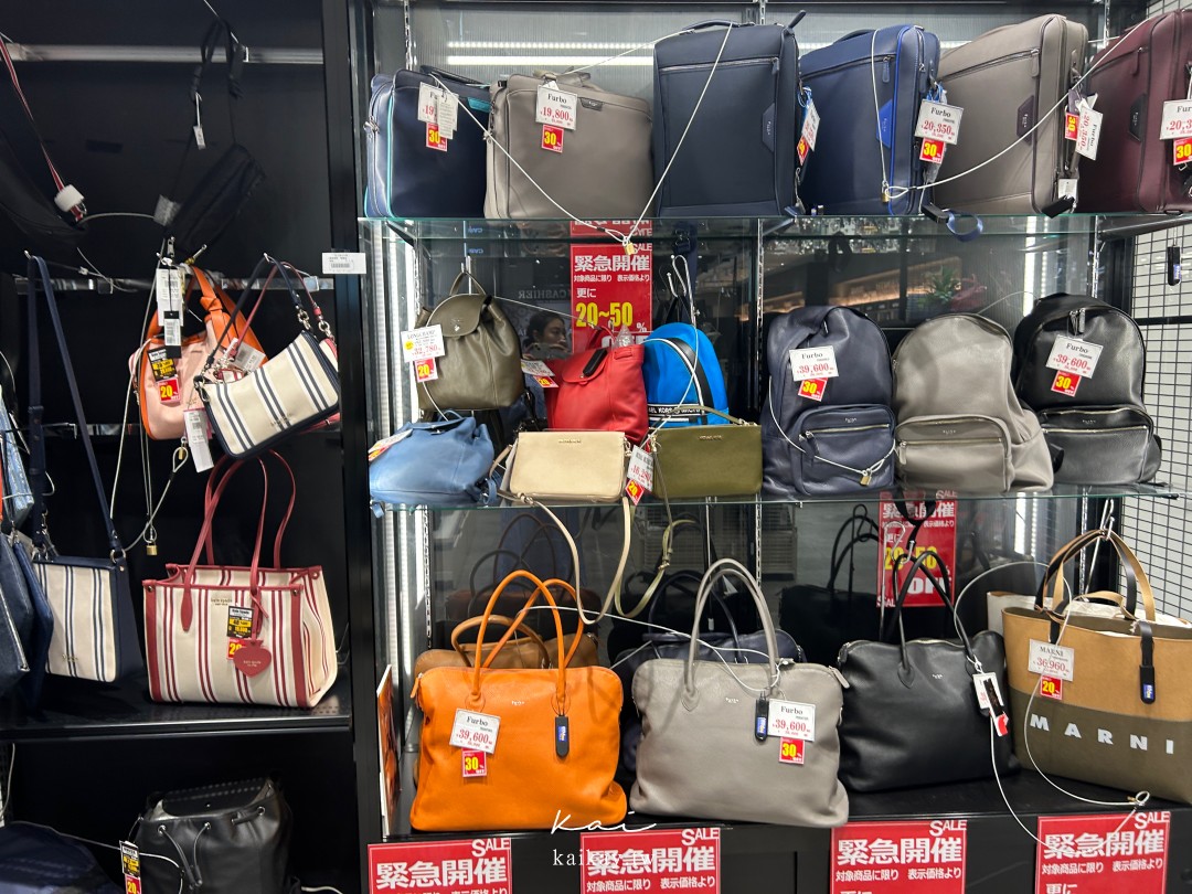 全大阪最好逛！難波愛電王本店逛街攻略。電器、相機、拉麵街、免稅＋優惠券一次滿足！