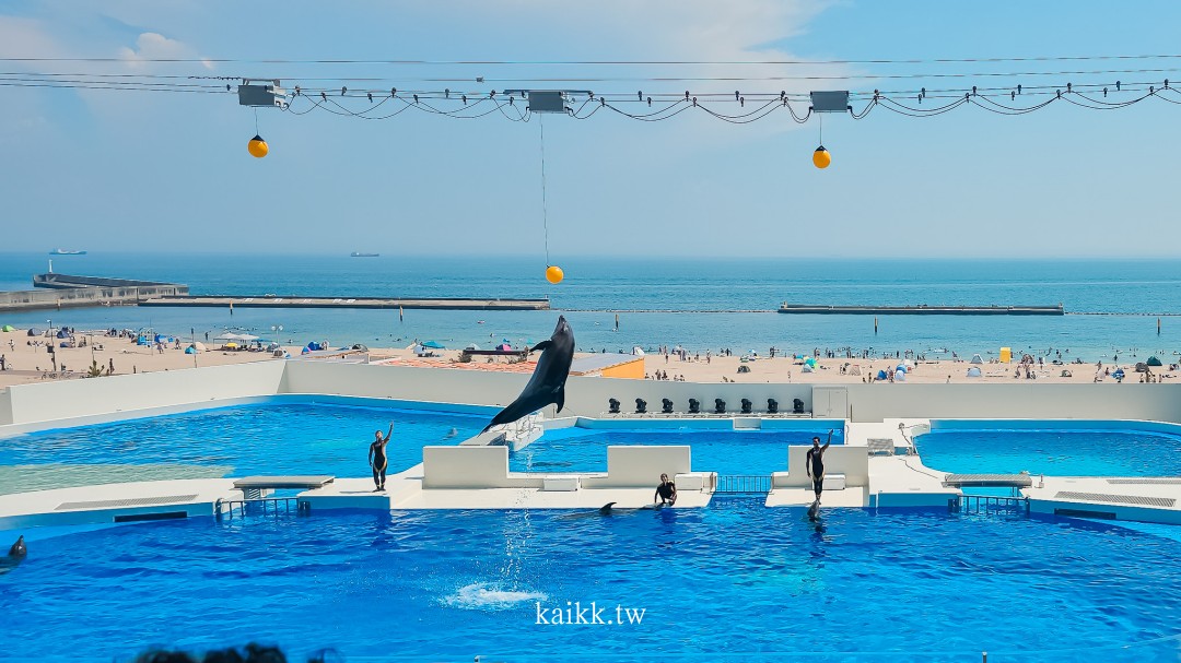 神戶海洋世界2024全新回歸！水族館看虎鯨表演、跟虎鯨一起吃飯超夢幻