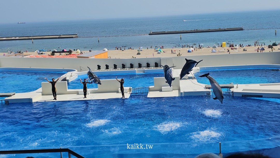 神戶海洋世界2024全新回歸！水族館看虎鯨表演、跟虎鯨一起吃飯超夢幻