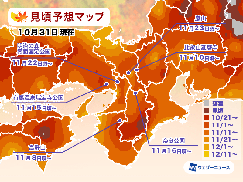 日本楓葉何時看？紅葉查詢工具一定要存起來