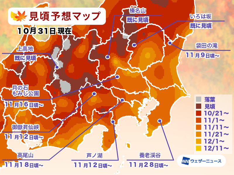 日本楓葉何時看？紅葉查詢工具一定要存起來