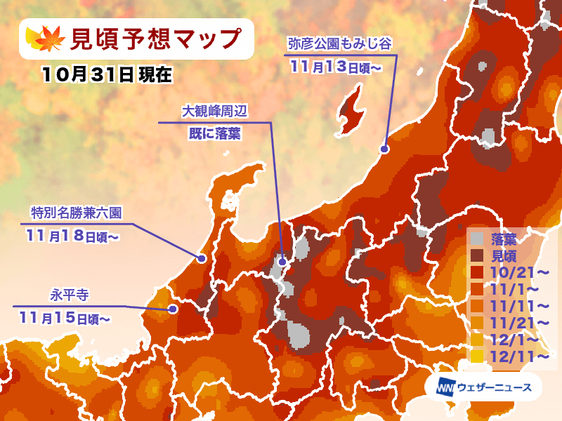 日本楓葉何時看？紅葉查詢工具一定要存起來