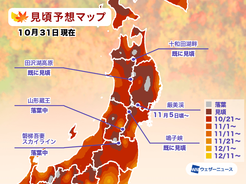 日本楓葉何時看？紅葉查詢工具一定要存起來