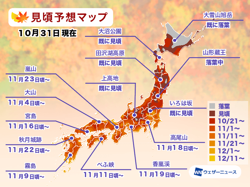 日本楓葉何時看？紅葉查詢工具一定要存起來