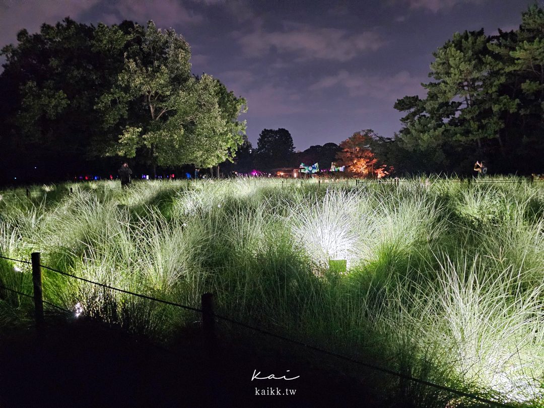 大阪最美夜間限定景點。長居植物園teamLab（門票、交通資訊）