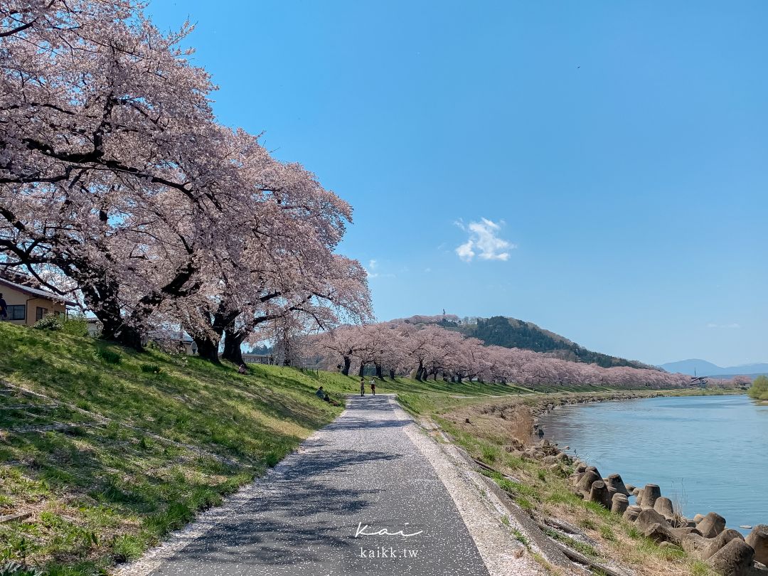 東北賞櫻絕景。白石川堤一目千本櫻，仙台出發40分鐘可到達！
