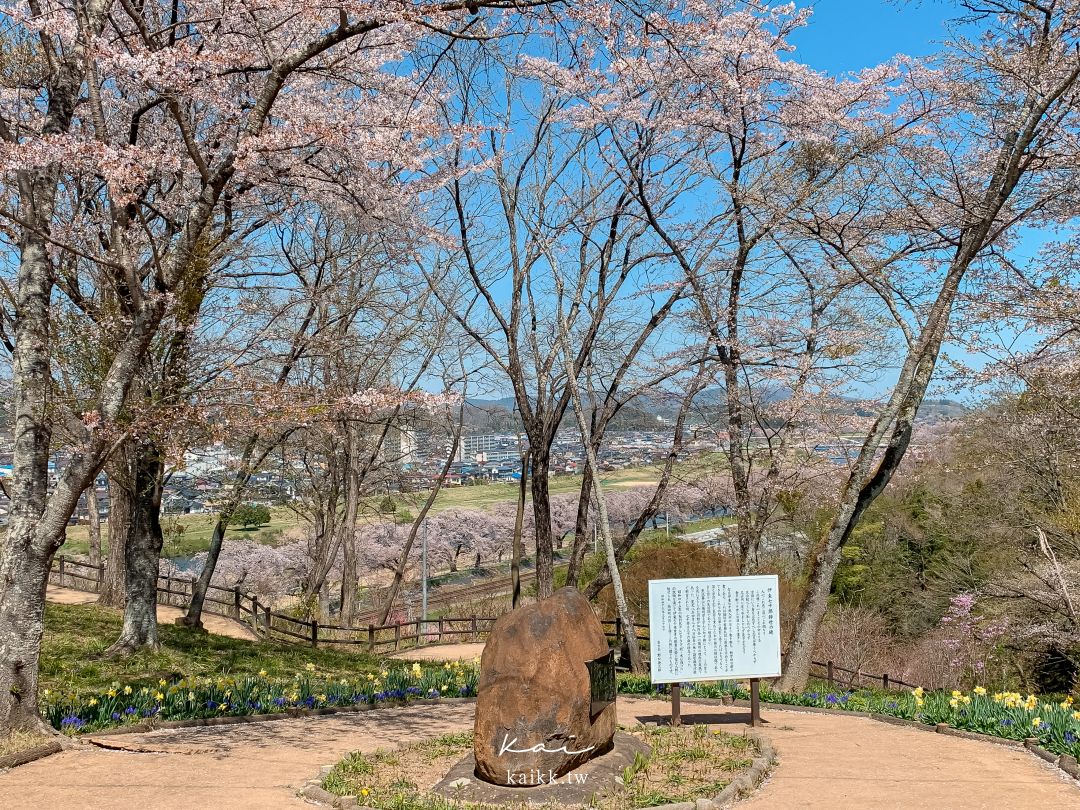 東北賞櫻絕景。白石川堤一目千本櫻，仙台出發40分鐘可到達！