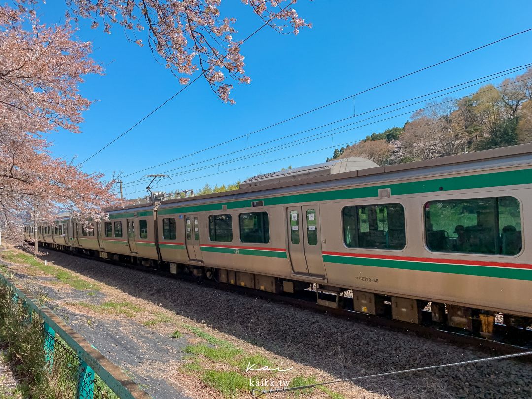 東北賞櫻絕景。白石川堤一目千本櫻，仙台出發40分鐘可到達！