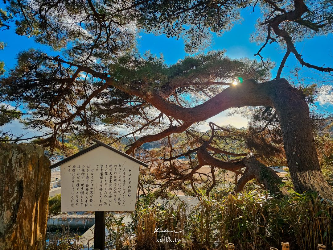 仙台松島一日遊。隱藏版海景下午茶、牡蠣吃到飽、收集限定寶可夢人孔蓋