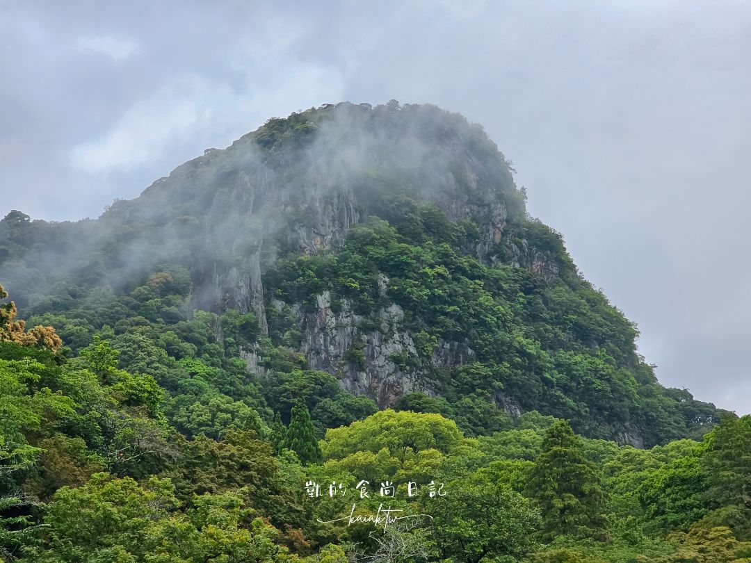 佐賀一日遊。台灣虎航台北直飛佐賀超方便！御船山樂園、武雄圖書館、佐賀牛收集起來
