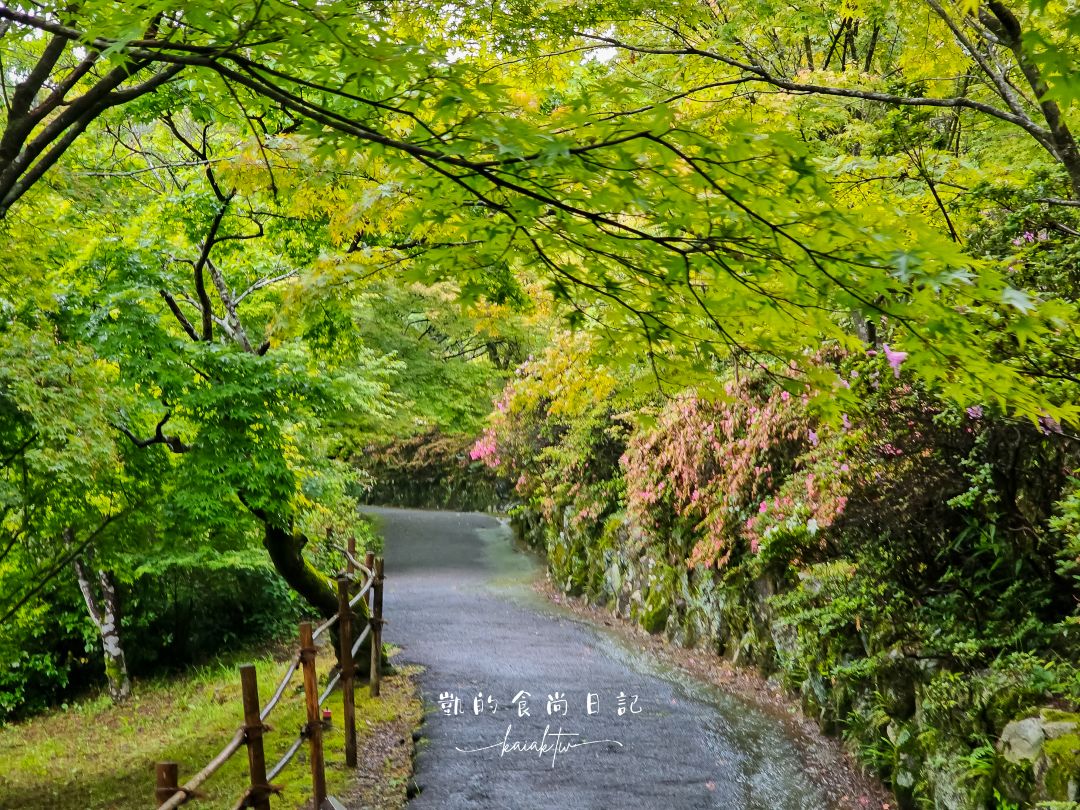 佐賀一日遊。台灣虎航台北直飛佐賀超方便！御船山樂園、武雄圖書館、佐賀牛收集起來