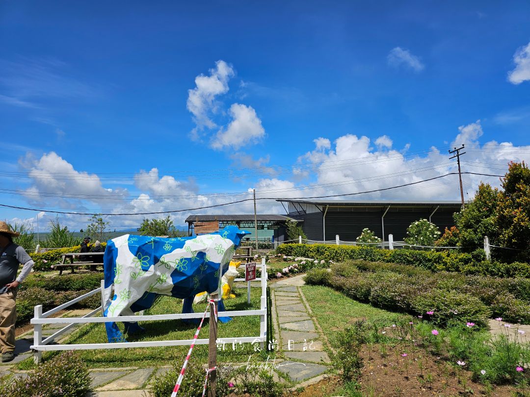 沙巴神山一日遊。京拿巴魯山煙燻山豬肉、德薩乳牛牧場、神山最美飯店
