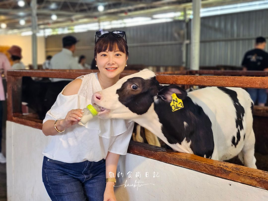 沙巴神山一日遊。京拿巴魯山煙燻山豬肉、德薩乳牛牧場、神山最美飯店