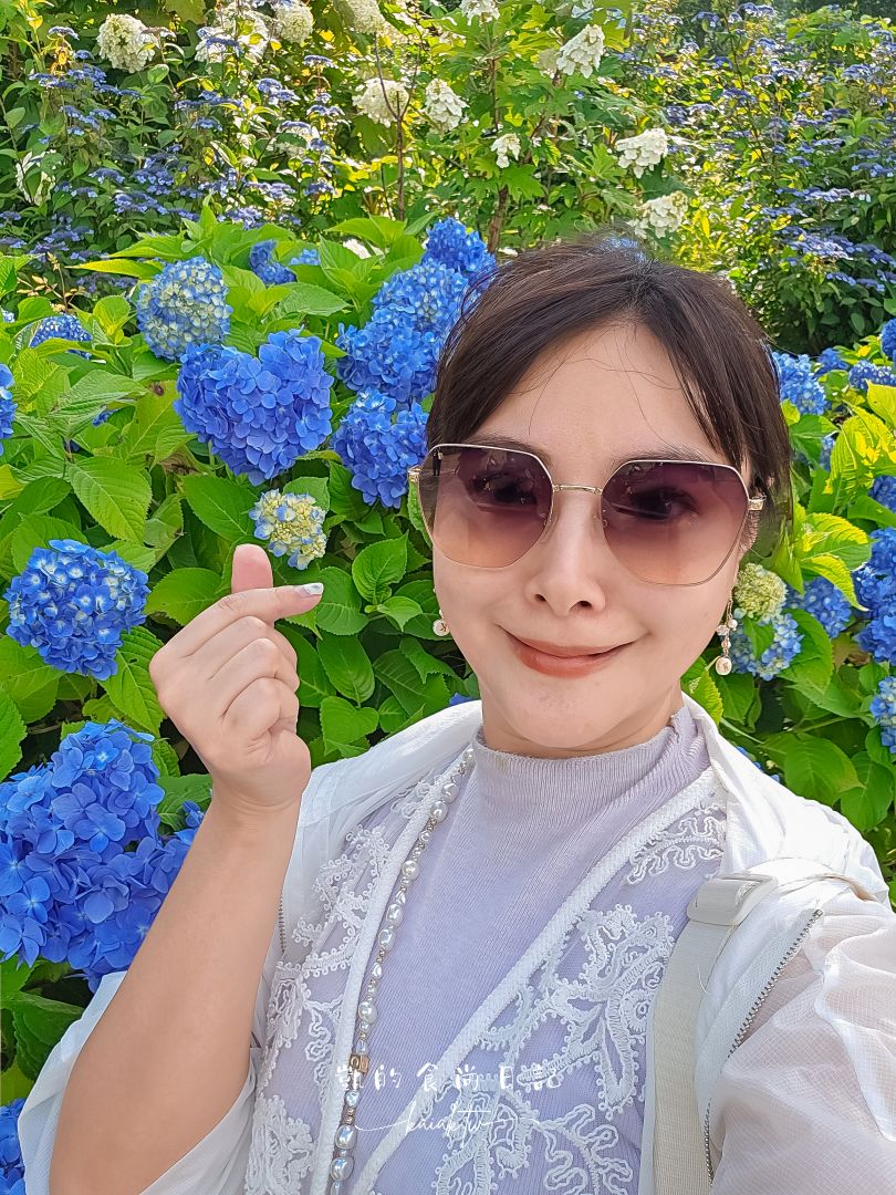福島爆紅4大繡球花打卡景點、浪漫花手水、攝影師推薦在地秘境，一次收錄！