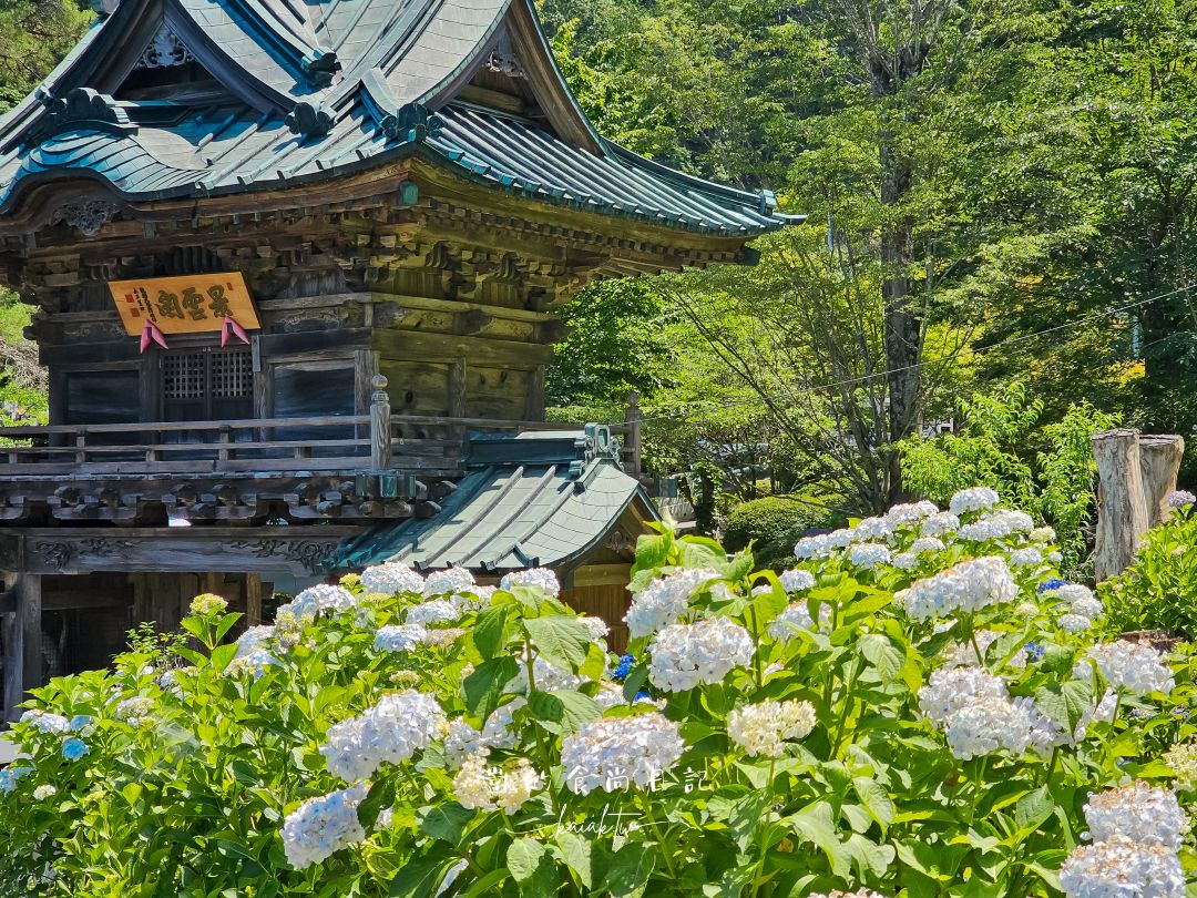 福島爆紅4大繡球花打卡景點、浪漫花手水、攝影師推薦在地秘境，一次收錄！