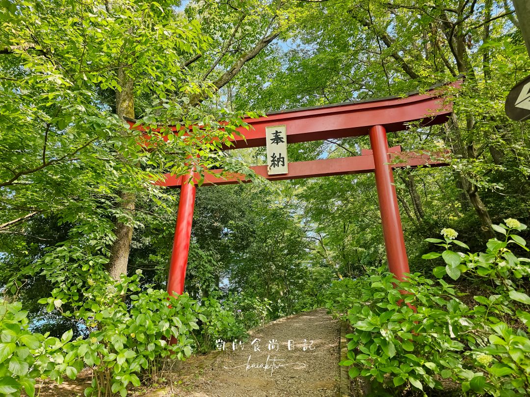 福島秘境紫陽花景點｜土合館公園5000株紫陽花迴廊