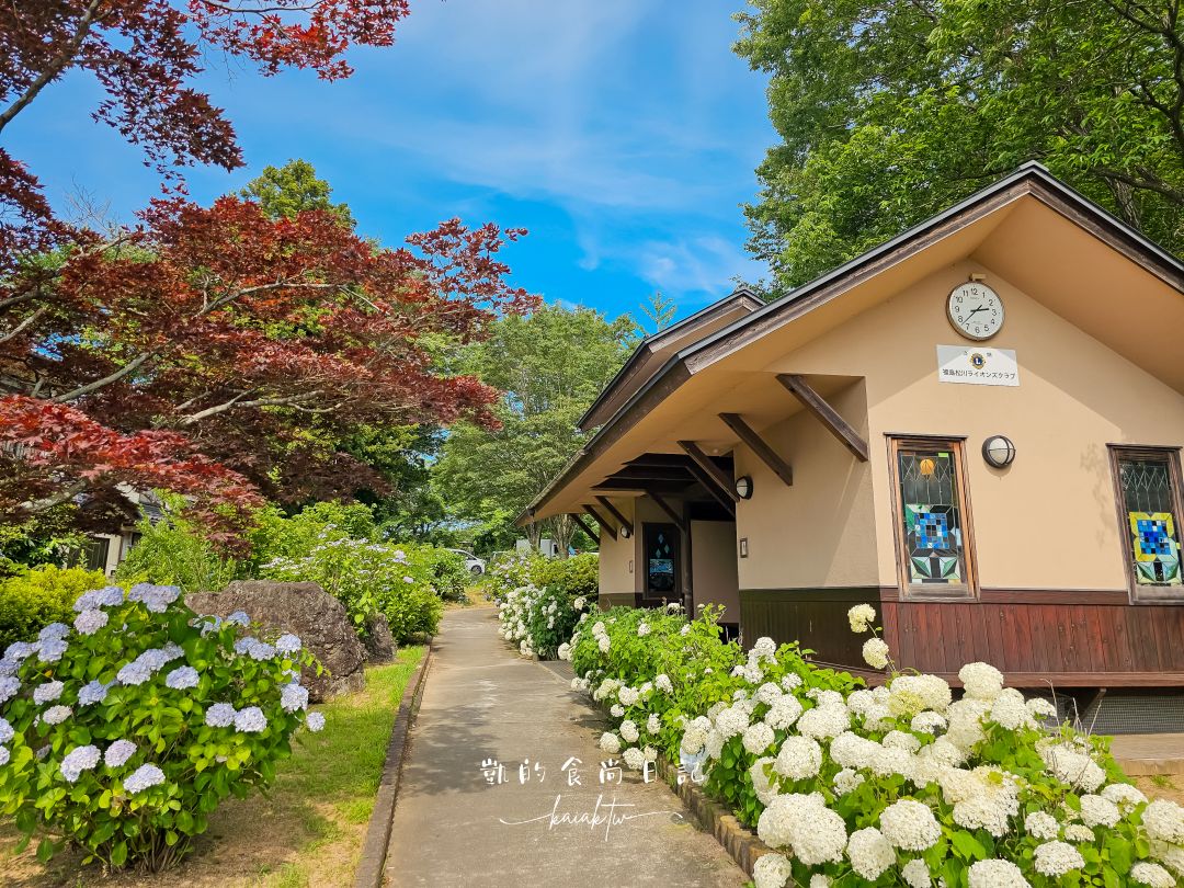 福島秘境紫陽花景點｜土合館公園5000株紫陽花迴廊