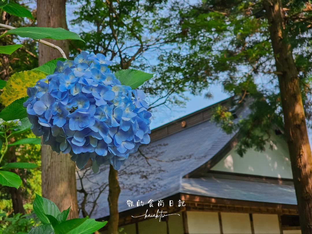 福島爆紅4大繡球花打卡景點、浪漫花手水、攝影師推薦在地秘境，一次收錄！