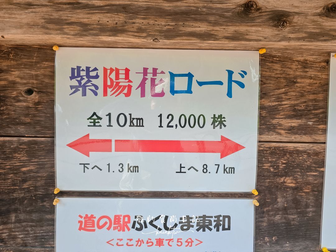 福島爆紅4大繡球花打卡景點、浪漫花手水、攝影師推薦在地秘境，一次收錄！