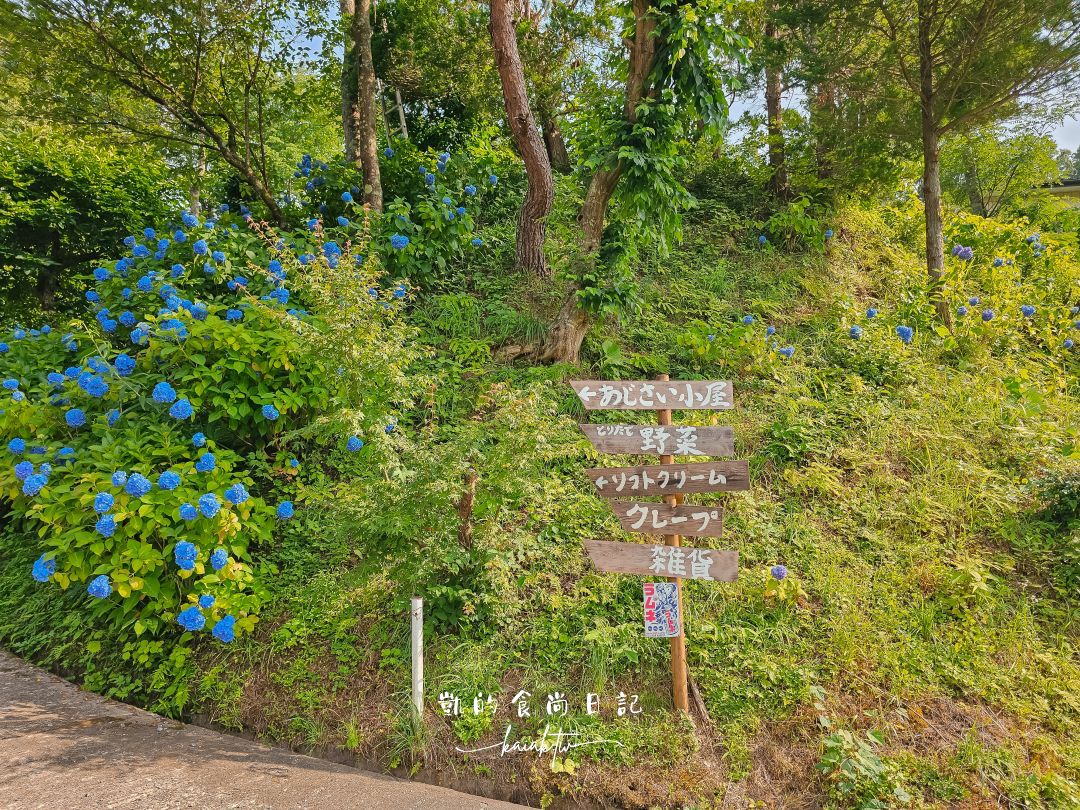 福島爆紅4大繡球花打卡景點、浪漫花手水、攝影師推薦在地秘境，一次收錄！