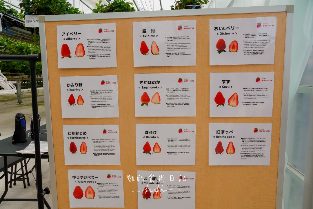 一年四季都可以採草莓！道路休息站豬苗代草莓園 45分鐘草莓吃到飽