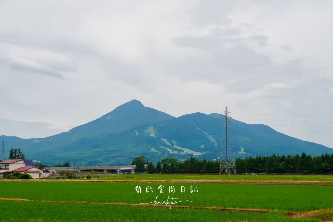 一年四季都可以採草莓！道路休息站豬苗代草莓園 45分鐘草莓吃到飽