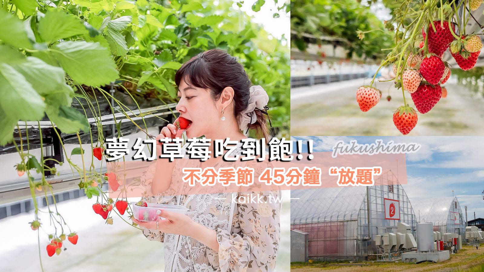 網站近期文章：一年四季都可以採草莓！道路休息站豬苗代草莓園 45分鐘草莓吃到飽