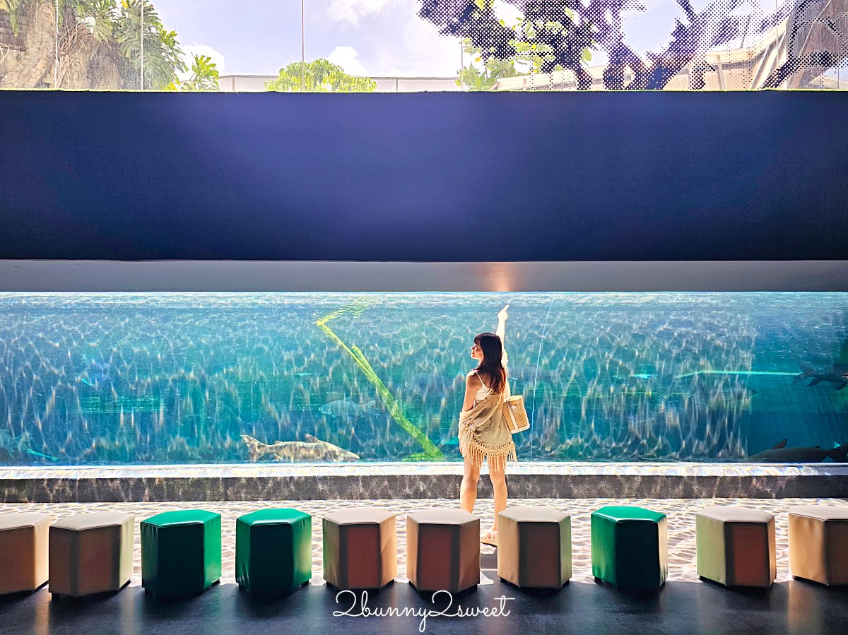普吉島水族館Aquaria Phuket這樣玩！交通、優惠門票、餵食秀、貼近企鵝總整理