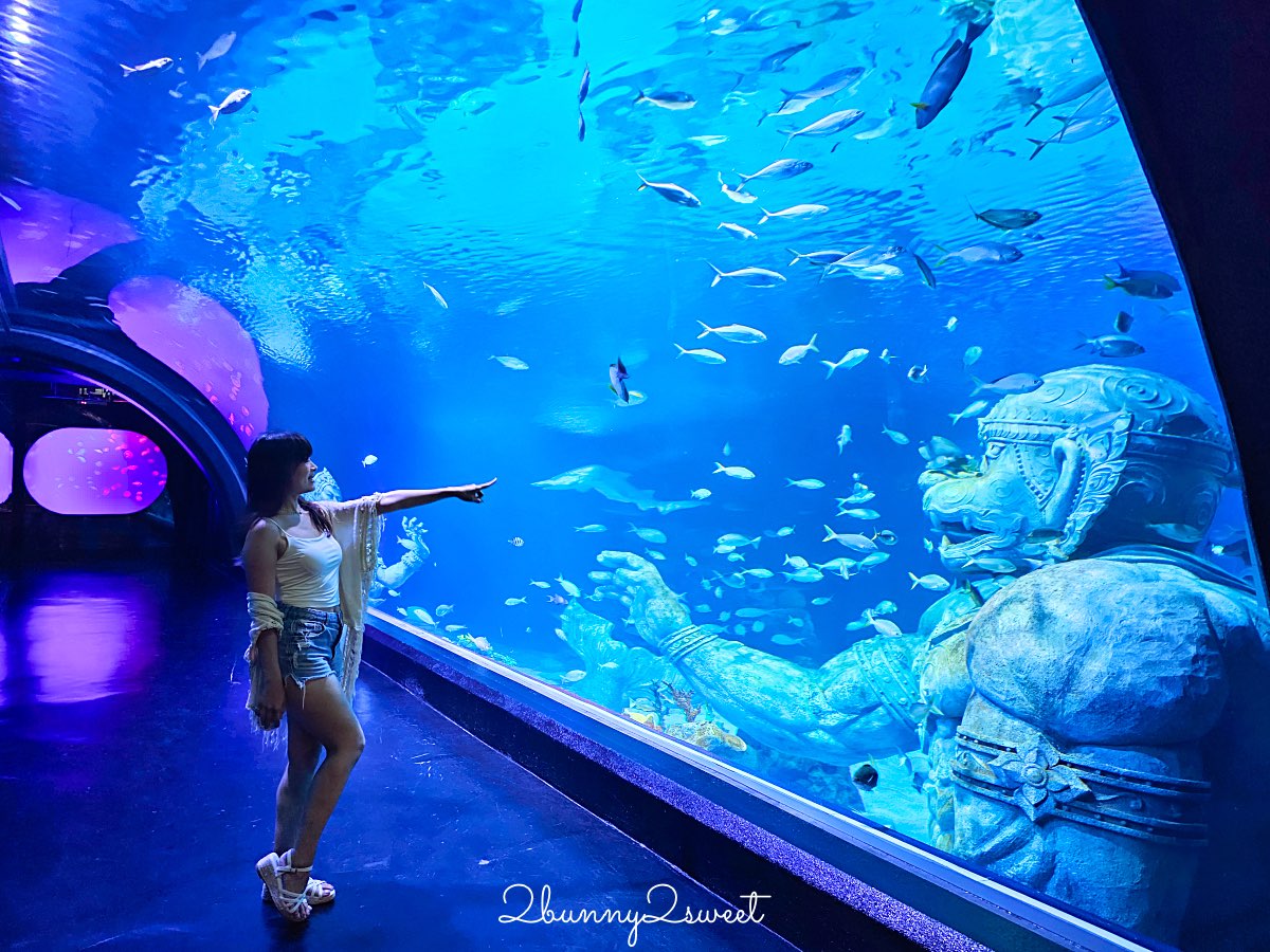 普吉島水族館Aquaria Phuket這樣玩！交通、優惠門票、餵食秀、貼近企鵝總整理