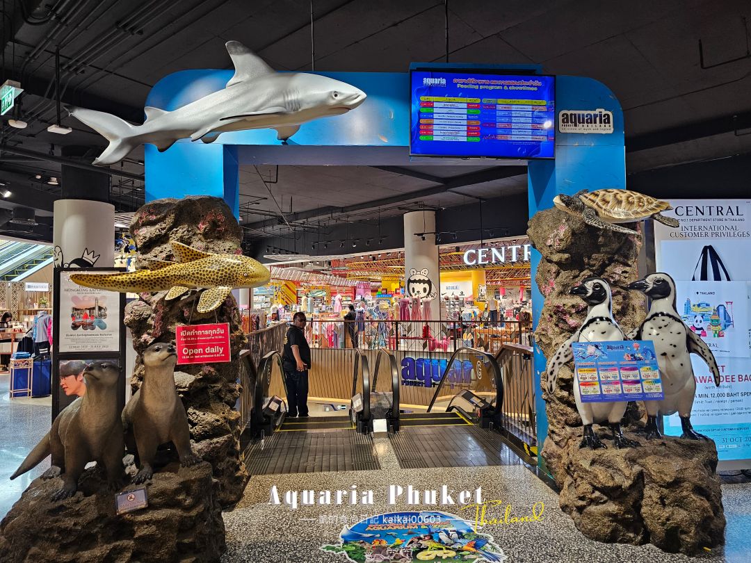 普吉島水族館Aquaria Phuket這樣玩！交通、優惠門票、餵食秀、貼近企鵝總整理