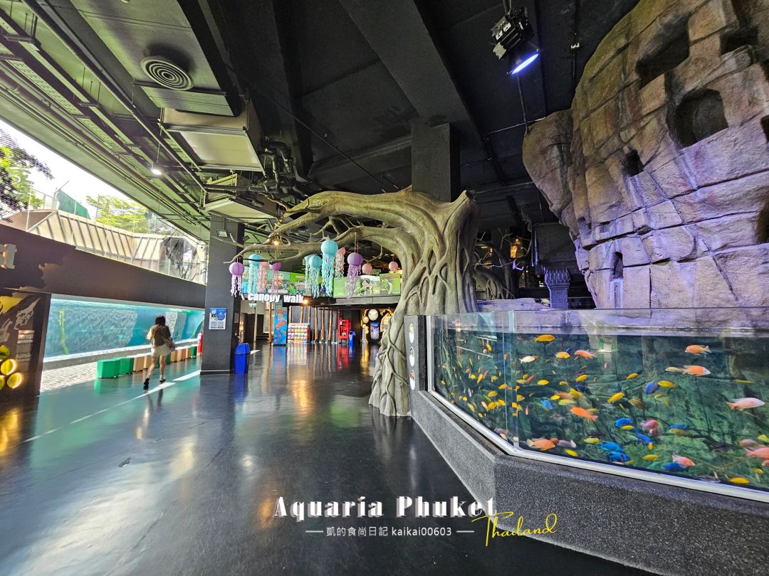 普吉島水族館Aquaria Phuket這樣玩！交通、優惠門票、餵食秀、貼近企鵝總整理