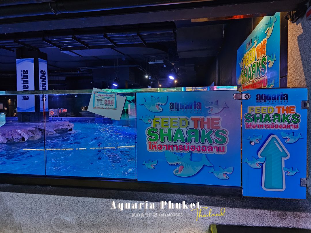 普吉島水族館Aquaria Phuket這樣玩！交通、優惠門票、餵食秀、貼近企鵝總整理