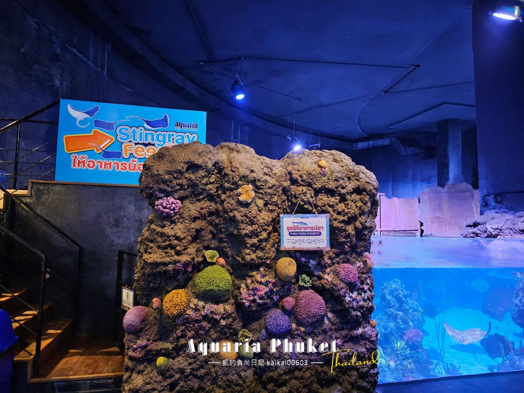 普吉島水族館Aquaria Phuket這樣玩！交通、優惠門票、餵食秀、貼近企鵝總整理