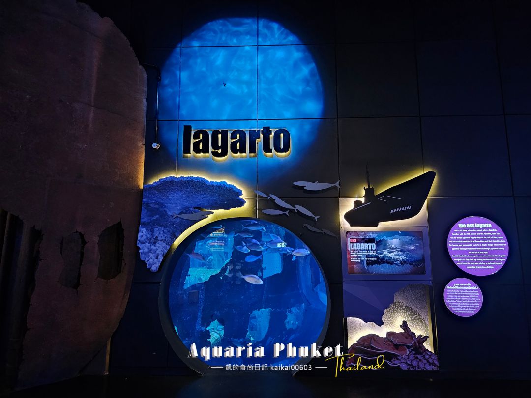 普吉島水族館Aquaria Phuket這樣玩！交通、優惠門票、餵食秀、貼近企鵝總整理