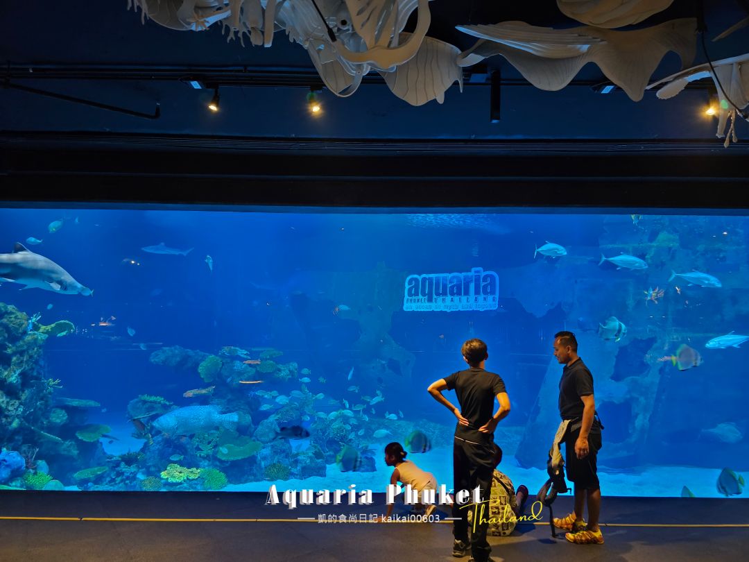 普吉島水族館Aquaria Phuket這樣玩！交通、優惠門票、餵食秀、貼近企鵝總整理