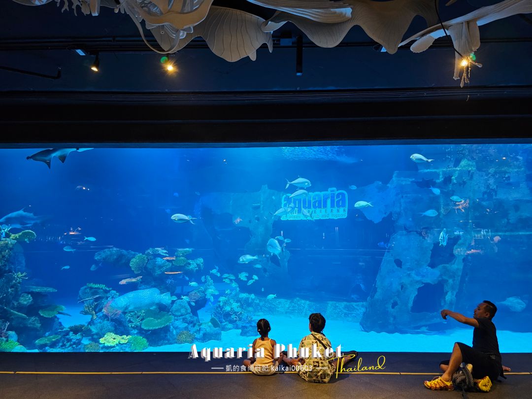 普吉島水族館Aquaria Phuket這樣玩！交通、優惠門票、餵食秀、貼近企鵝總整理