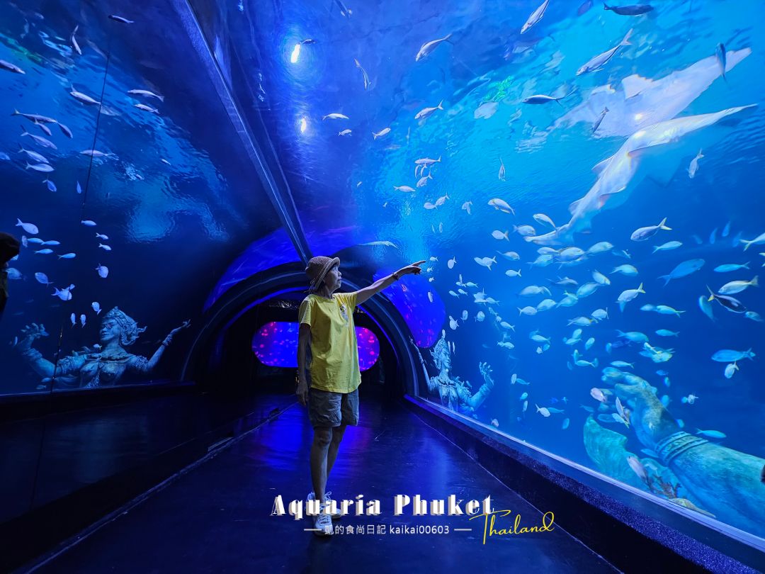 普吉島水族館Aquaria Phuket這樣玩！交通、優惠門票、餵食秀、貼近企鵝總整理