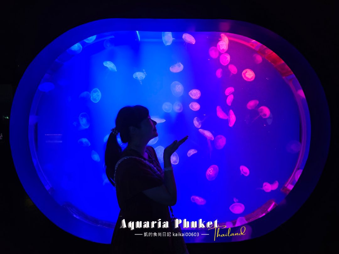 普吉島水族館Aquaria Phuket這樣玩！交通、優惠門票、餵食秀、貼近企鵝總整理