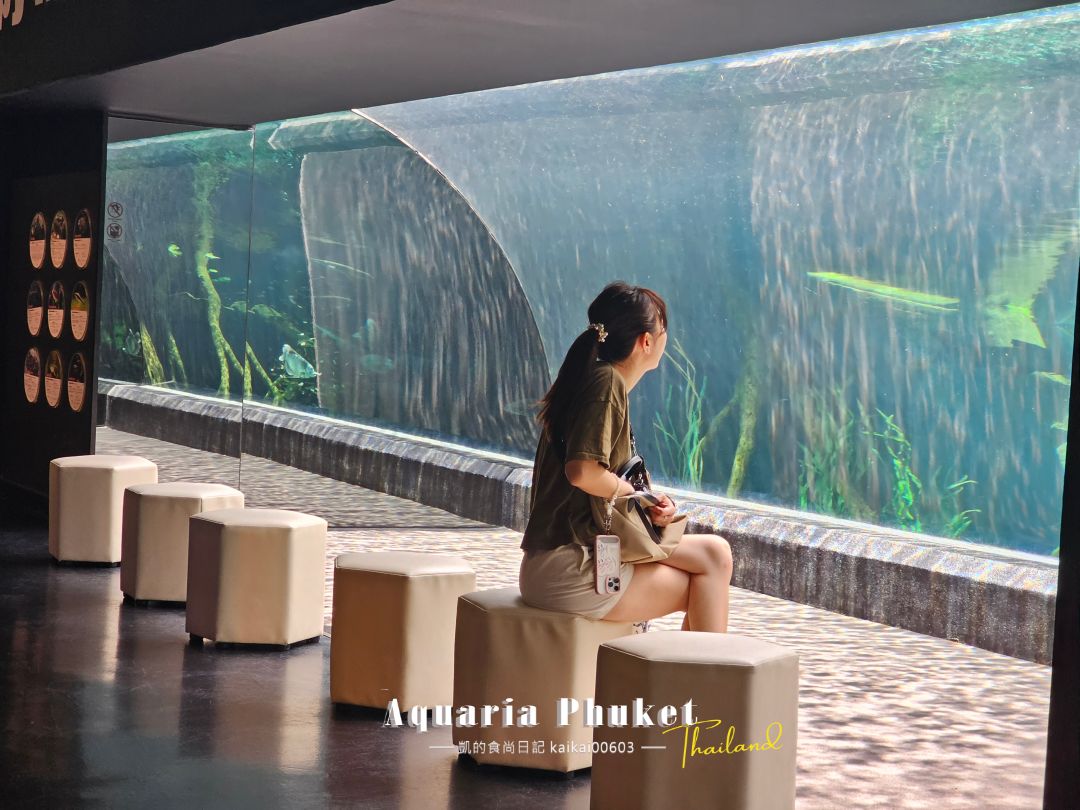普吉島水族館Aquaria Phuket這樣玩！交通、優惠門票、餵食秀、貼近企鵝總整理