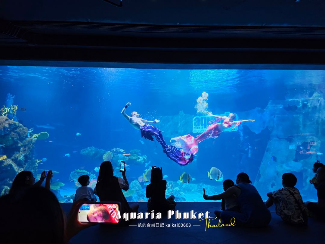 普吉島水族館Aquaria Phuket這樣玩！交通、優惠門票、餵食秀、貼近企鵝總整理