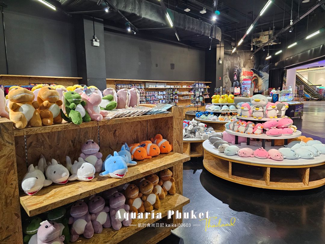 普吉島水族館Aquaria Phuket這樣玩！交通、優惠門票、餵食秀、貼近企鵝總整理