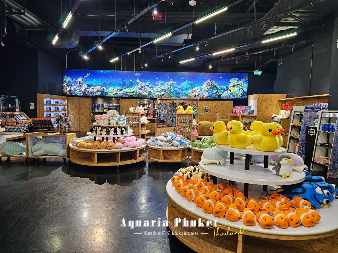 普吉島水族館Aquaria Phuket這樣玩！交通、優惠門票、餵食秀、貼近企鵝總整理