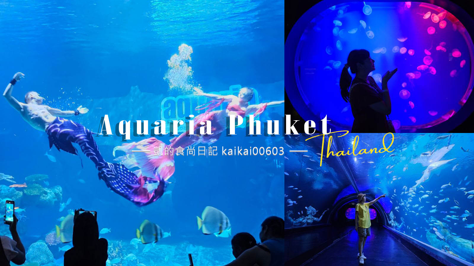 網站近期文章：普吉島水族館Aquaria Phuket這樣玩！交通、優惠門票、餵食秀、貼近企鵝總整理